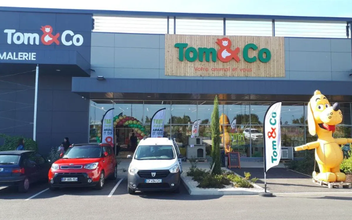Franchise Tom&Co