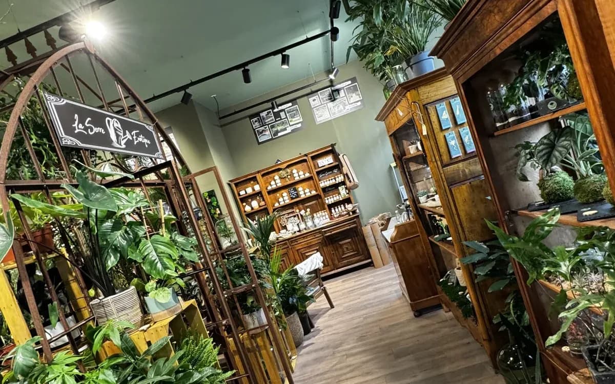 Franchise Arbres & Co