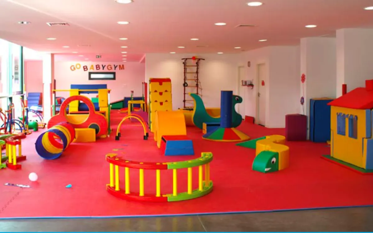 Franchise GoBabyGym