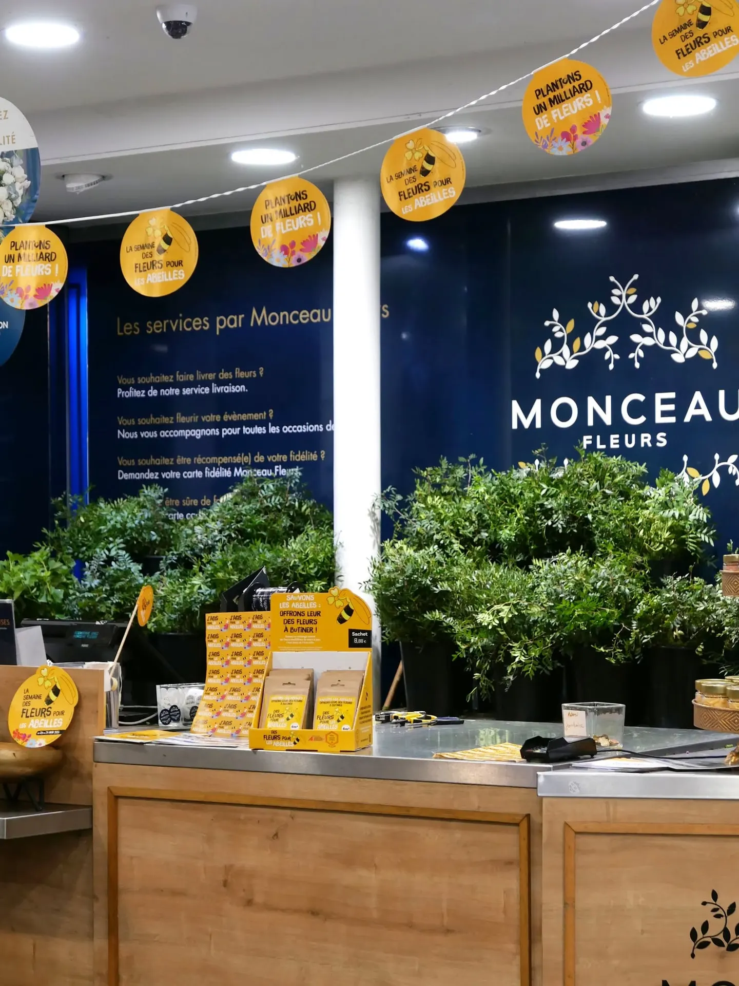 Franchise Monceau Fleurs