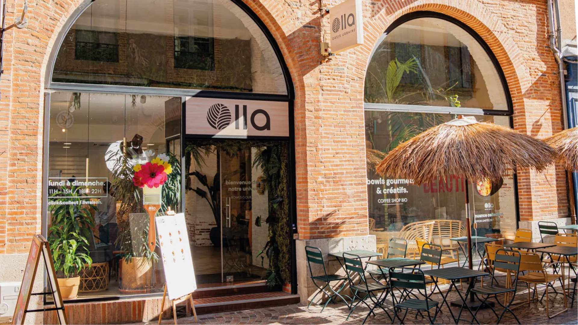 Franchise Olla Oasis Urbaine