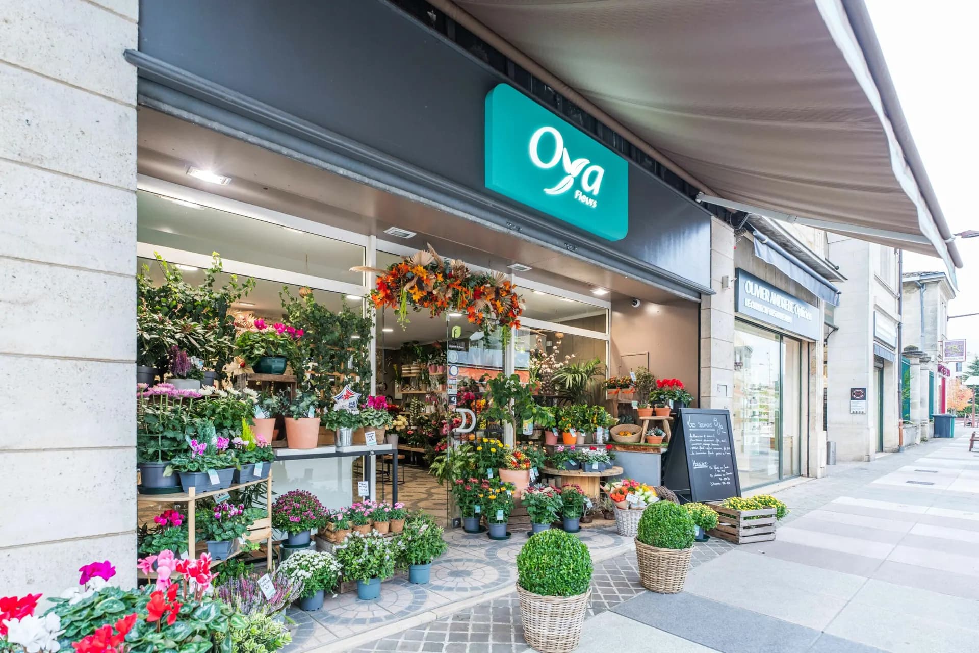 Franchise Oya Fleurs